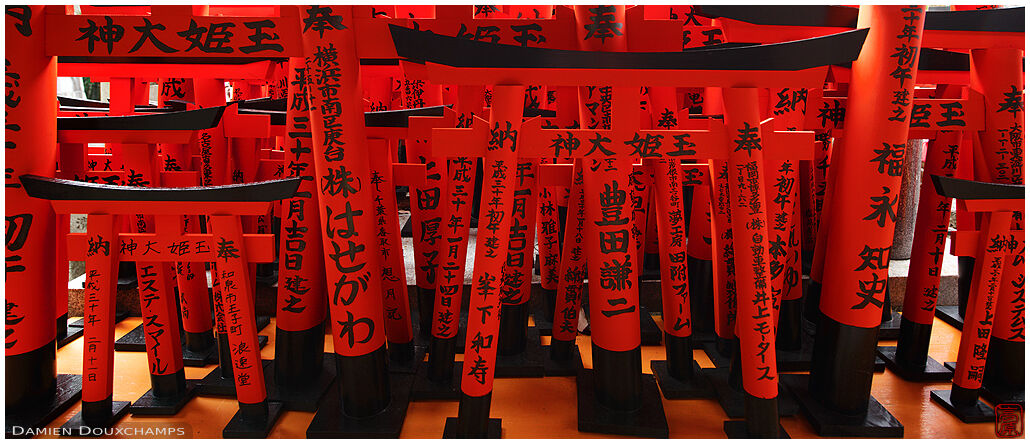 Red miniature torii gates as offerings to Fushimi Inari shrine, Kyoto, Japan