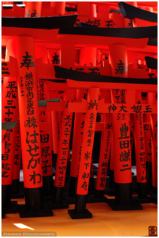 Bright red miniature torii gates left as votive offerings in Fushimi Inari Taisha, Kyoto, Japan