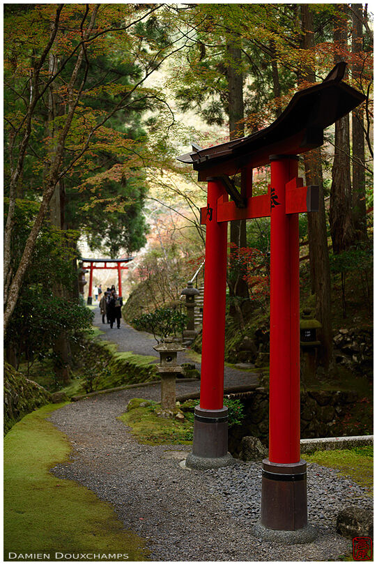 Red torii gate in the forest of Hakuryu-en garden, Kyoto, Japan