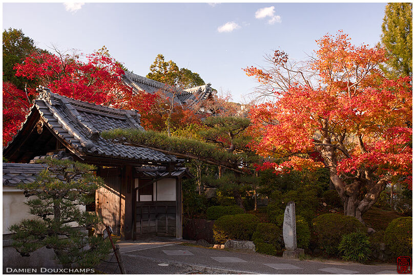 Bright autumn colours at the entrance of Shobo-ji temple, Kyoto, Japan