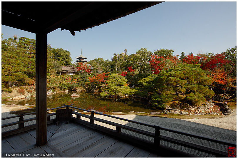 Ninna-ji temple garden and pagoda in autumn, Kyoto, Japan