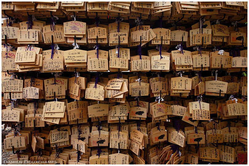 Thousands of ema votive offerings on the year of the bull in Kitano Tenmangu shrine, Kyoto, Japan