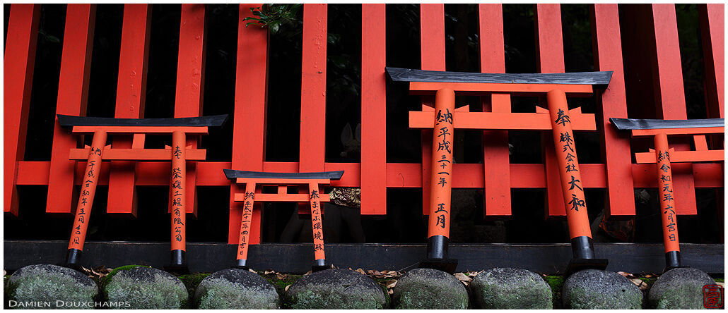 Small torii gates as votive offerings, Fushimi Inari shrine, Kyoto, Japan