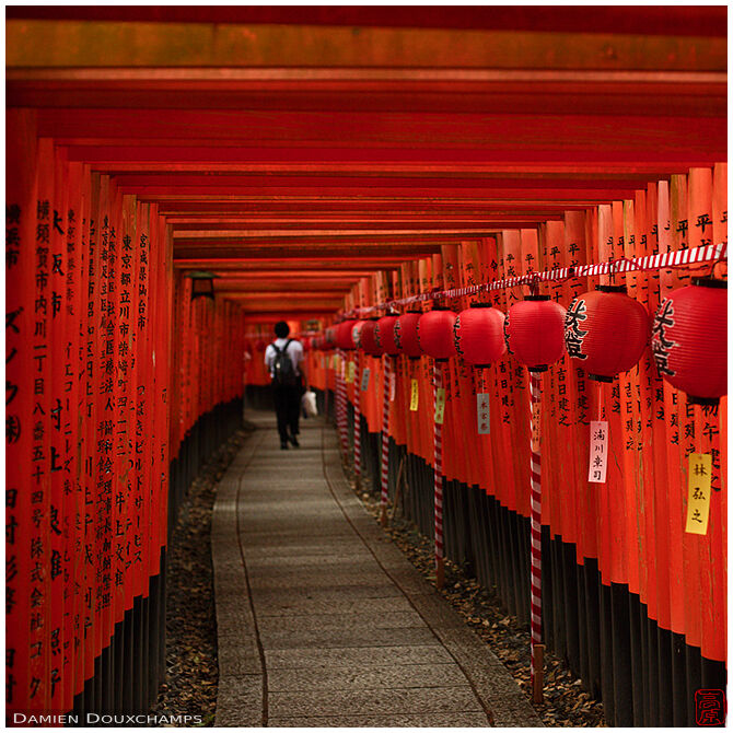 Lanterns inside the 1000-torii path of Fuchimi-inari shrine in Kyoto, Japan