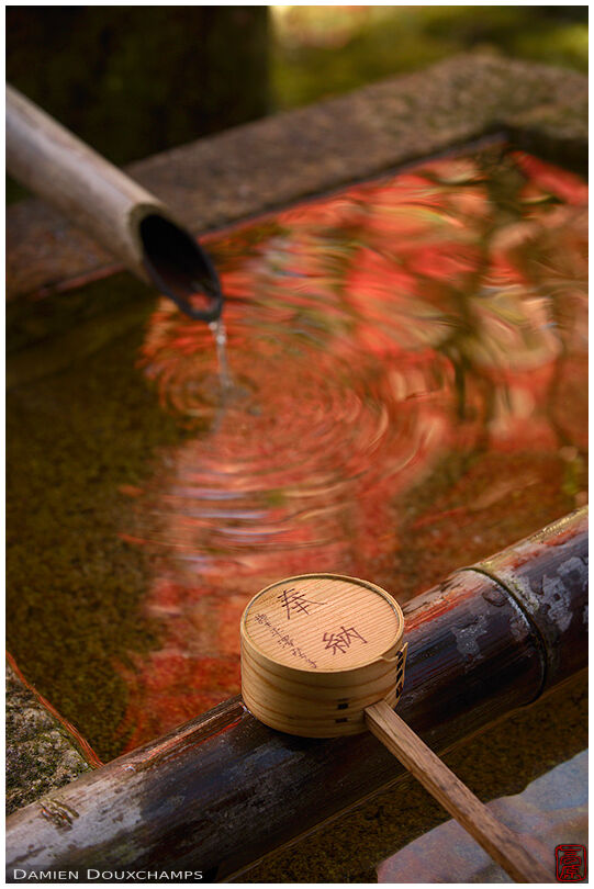 Autumn colours reflections on tsukubai water basin, Imakumano Kannon-ji temple, Kyoto, Japan