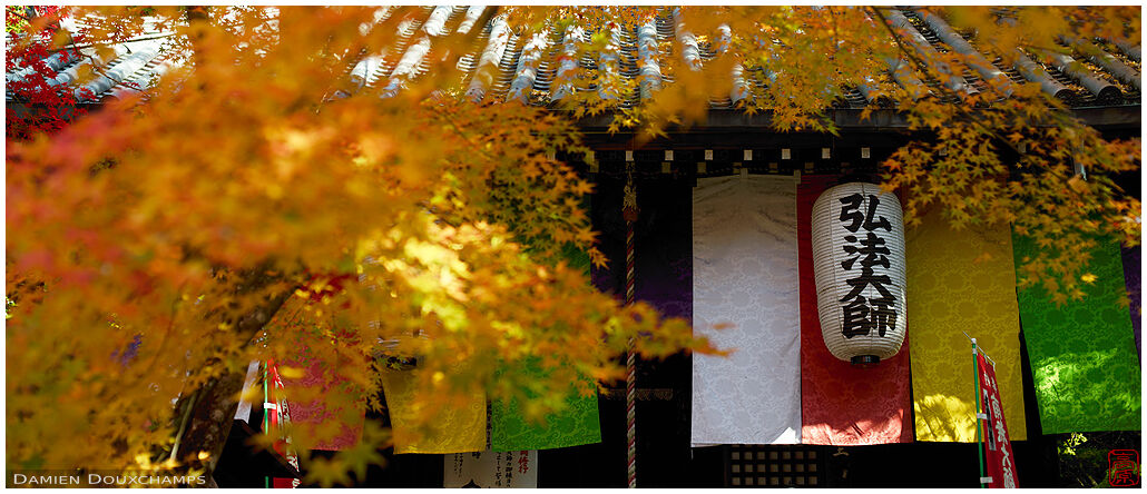 Paper lantern, colorful noren and early yellow golden autumn colours in Imakumano Kannon-ji temple, Kyoto, Japan