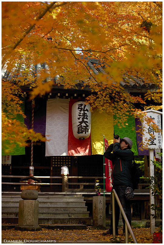 Man photographin autumn colors in Imakumano Kannon-ji temple, Kyoto, Japan