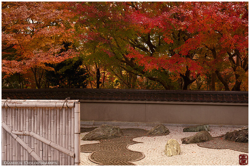 Rock garden and autumn foliage behind bamboo fence, Ryogin-an temple, Kyoto, Japan