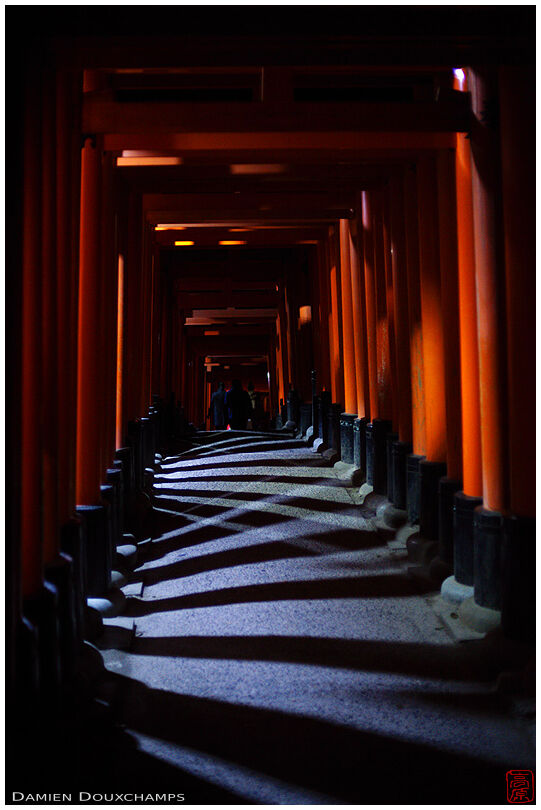 Fushimi-inari shrine torii-covered path at night, Kyoto, Japan