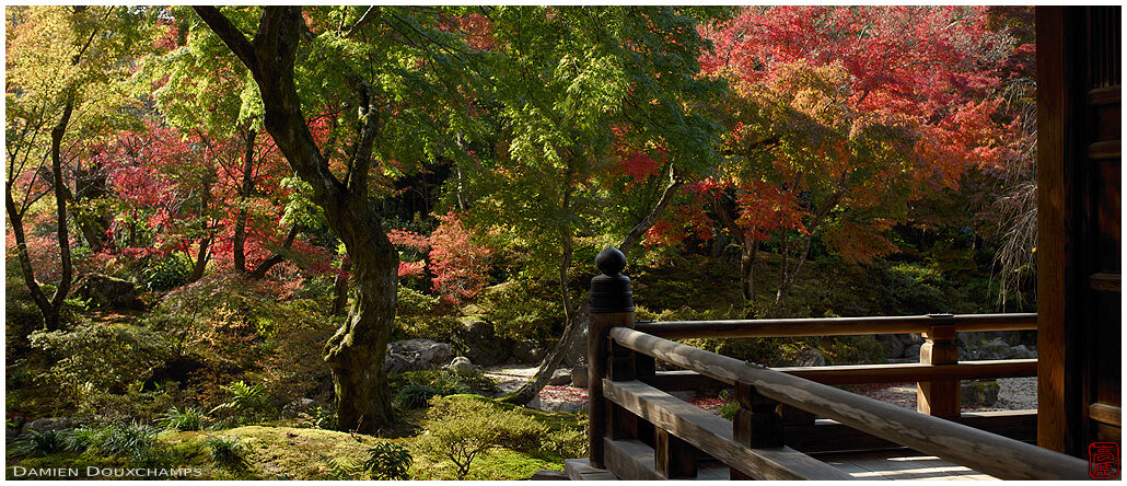 Sunny early autumn day in the gardens of Hokyo-in temple, Kyoto, Japan