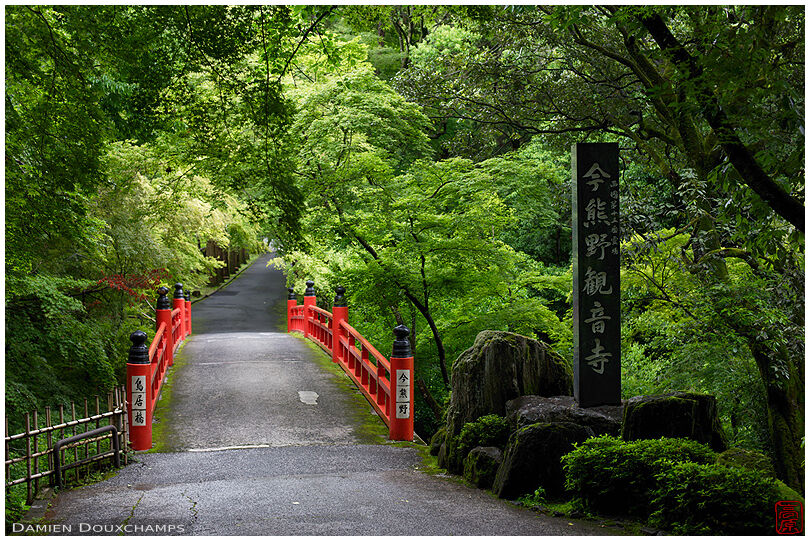 Red bridge in green forest at the entrance of Imakumano Kannon-ji temple, Kyoto, Japan