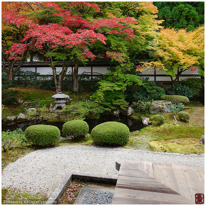 Mix of autumn colours around the garden of Sennyu-ji temple, Kyoto, Japan