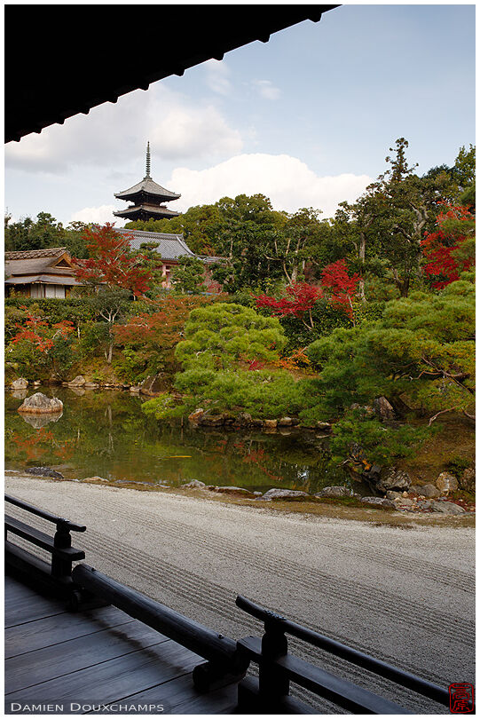 Ninna-ji temple pagoda peeking over autumn foliage, Kyoto, Japan
