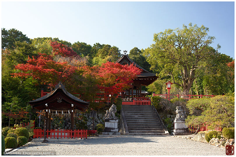 Sunny autumn day in Takeisao shrine, Kyoto, Japan