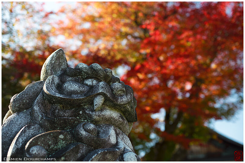 Demon statue and autumn colors, Takeisao-jinja, Kyoto, Japan