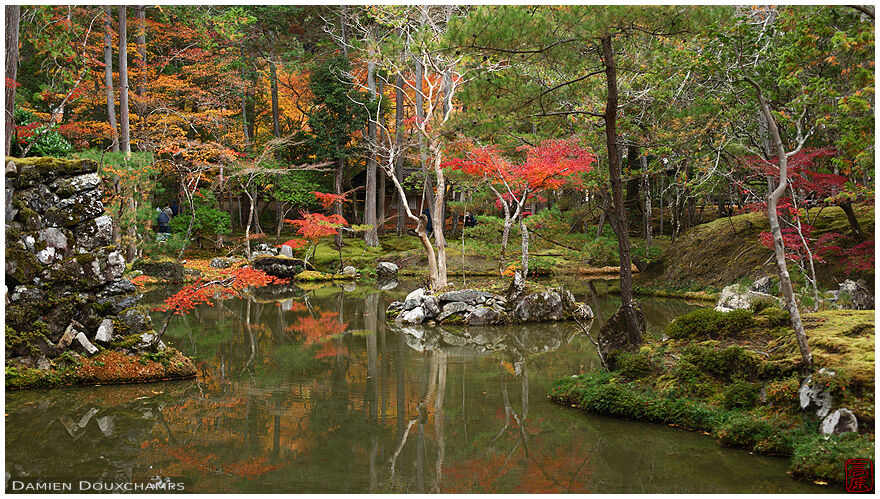 Subtle autumn colors in and around a pond of the Moss temple, Kyoto, Japan