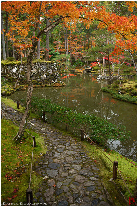 Autumn colours over a stone path in the moss garden of Koke-dera, Kyoto, Japan