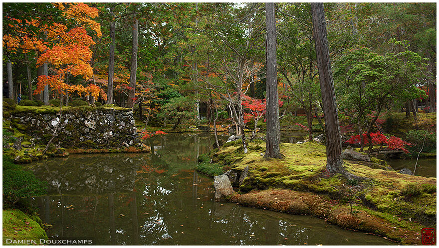 Touches of autumn colours in the famous moss garden of Saiho-ji temple, Kyoto, Japan