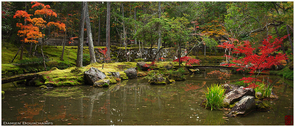 Dots of autumn colours around a pond in the moss garden of Saiho-ji temple, Kyoto, Japan