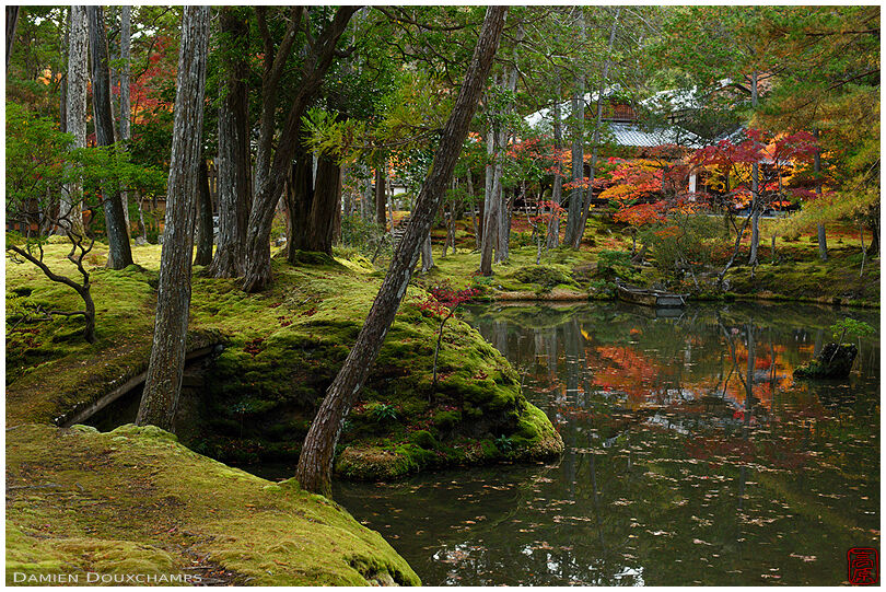 Autumn colors on the moss garden of Saiho-ji temple, also know as Koke-dera, Kyoto, Japan