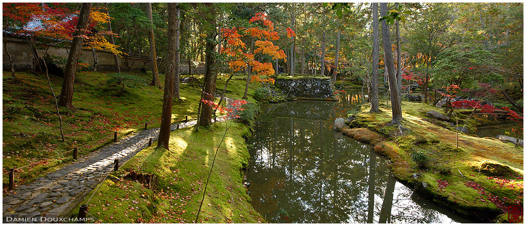 Sunny autumn afternoon in the moss temple garden, Kyoto, Japan