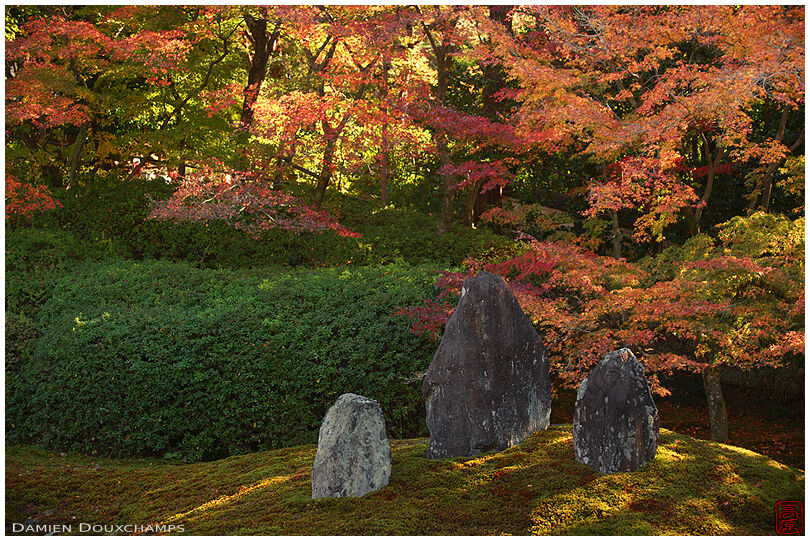 Standing stones and autumn colors in the moss garden of Komyo-in temple, Kyoto, Japan