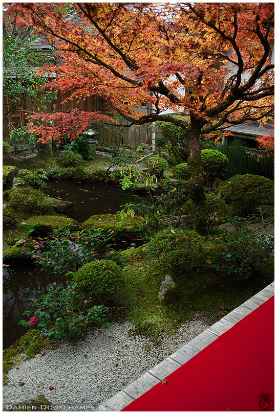 Small pond garden in autumn, Hōsen-in temple, Ohara valley, Kyoto, Japan