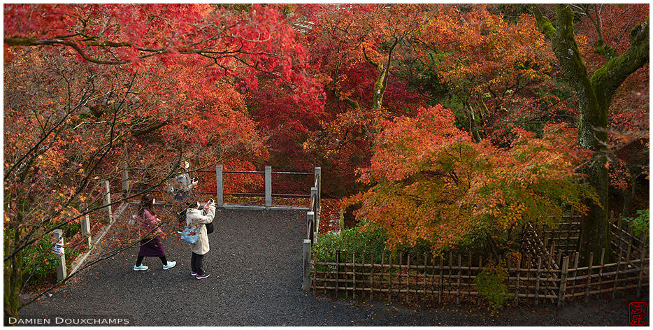 Three visitors enjoying autumn foliage in the garden of Tofuku-ji temple, Kyoto, Japan