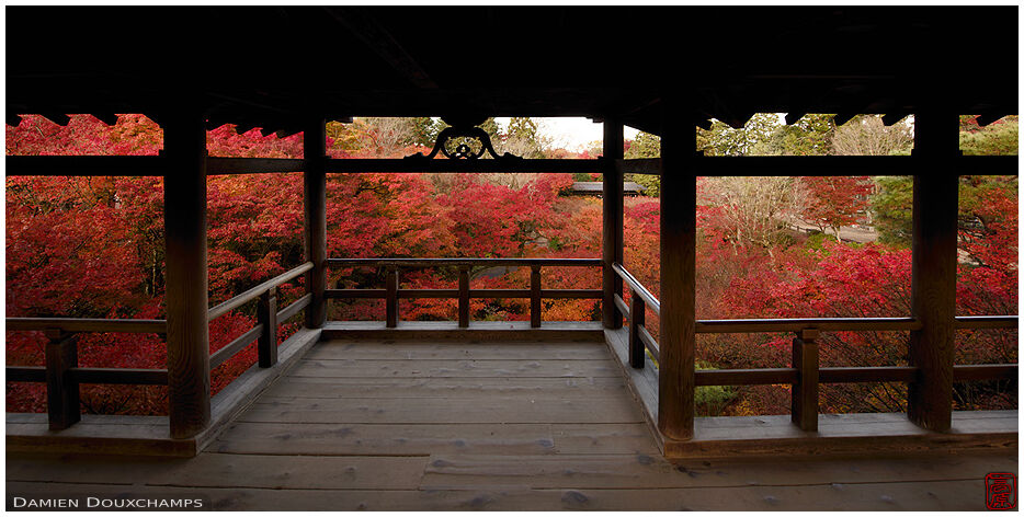View from Tofuku-ji bridge in autumn, Kyoto, Japan