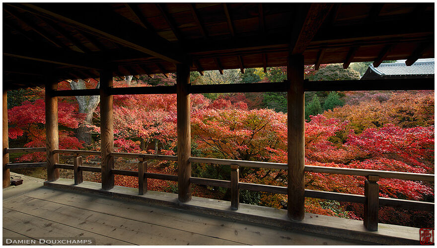 Covered pathway with view on red autumn forest, Tofuku-ji temple, Kyoto, Japan