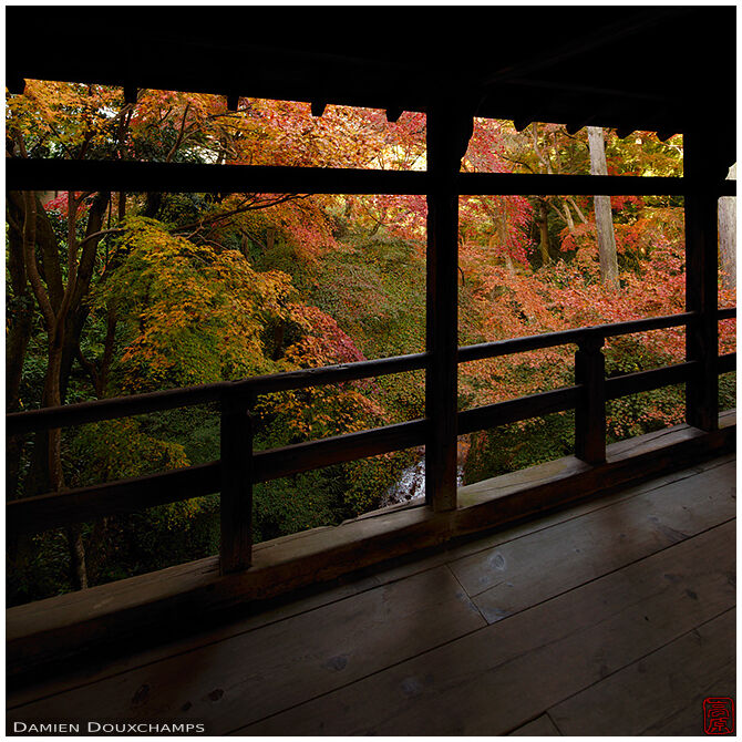 Autumn colours from a small bridge on Tofukuji temple grounds, Kyoto, Japan
