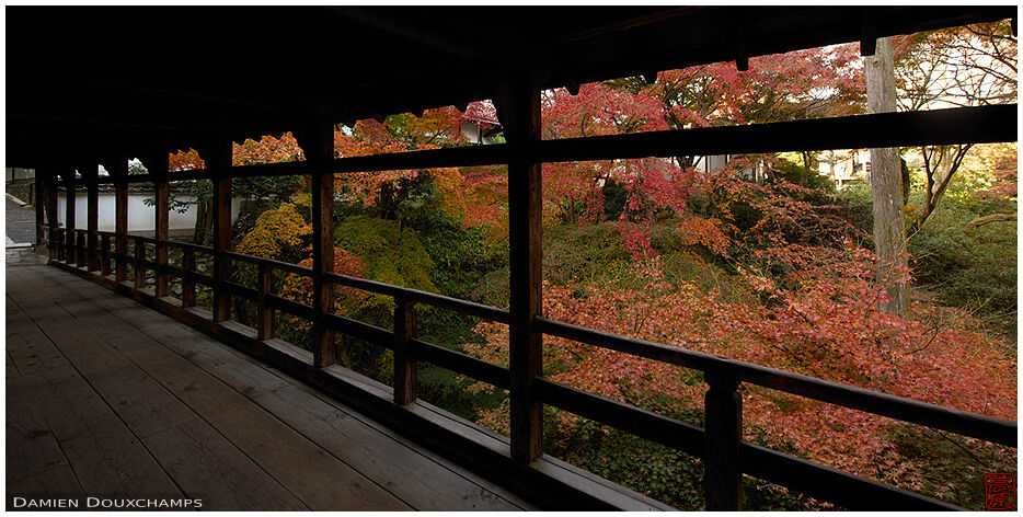 Autumn colors from the bridge leading to Ryogin-an temple, Kyoto, Japan