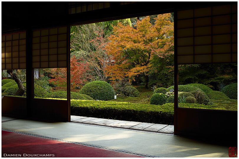 A view of Unryu-in temple gardens in autumn, Kyoto, Japan