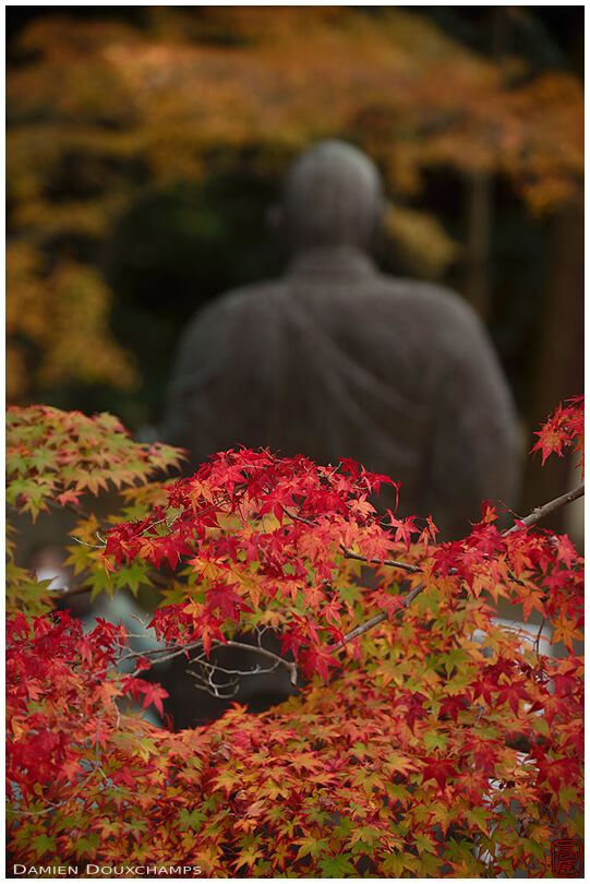 Autumn leaves in front of large priest statue in Imakumano Kannon-ji temple, Kyoto, Japan