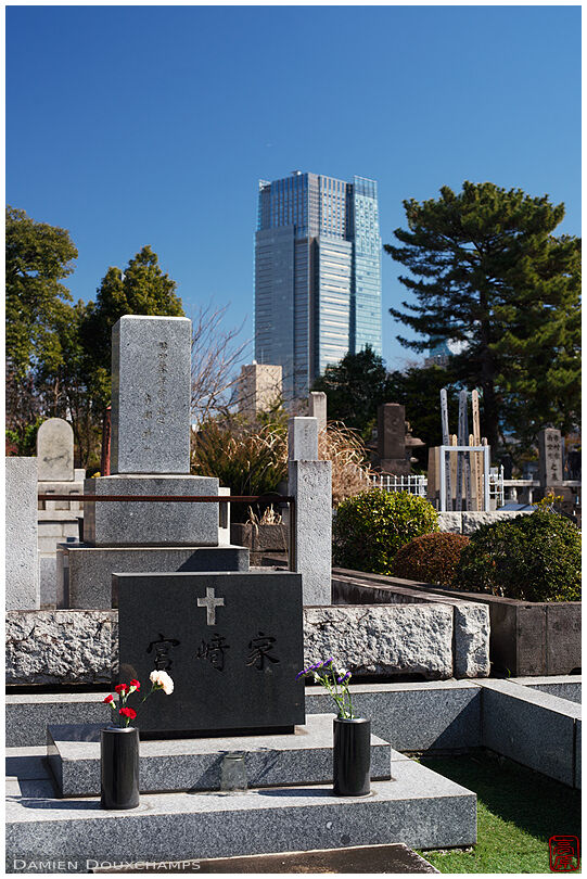 The Aoyama cemetery in the heart of Tokyo, Japan