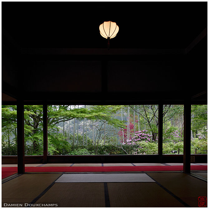 Spring garden from the temple main hall, Hosen-in, Ohara, Japan