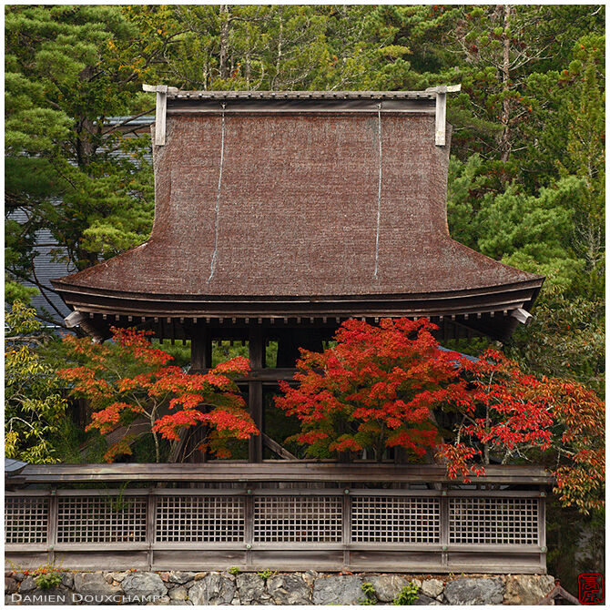 Belfry surrounded by autumn foliage, Kongobu-ji temple, Koya-san, Japan
