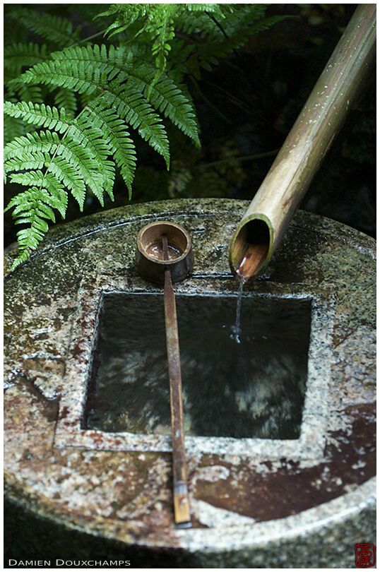 Washing basin: stone fern and bamboo