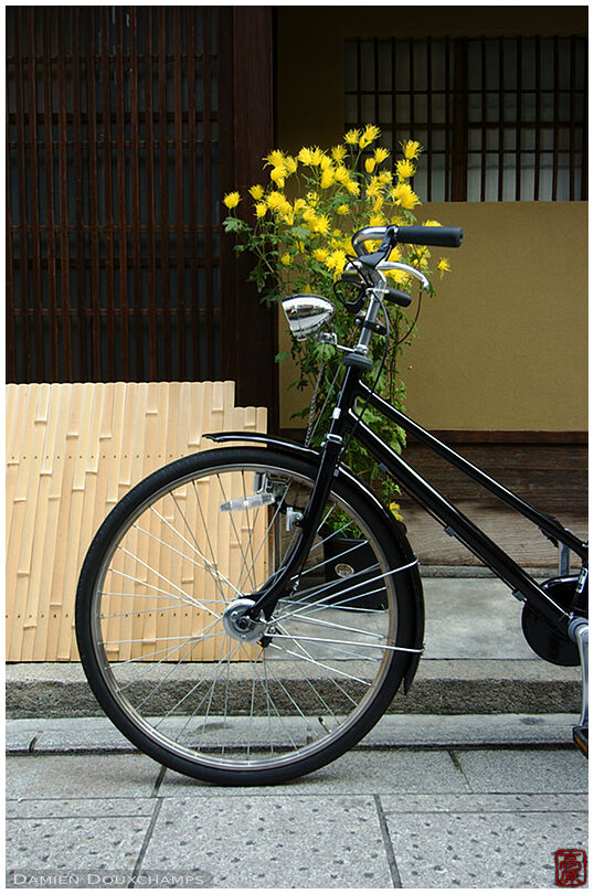 Bicycle in front of a machiya