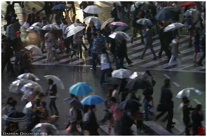 Shibuya crossroad under the rain