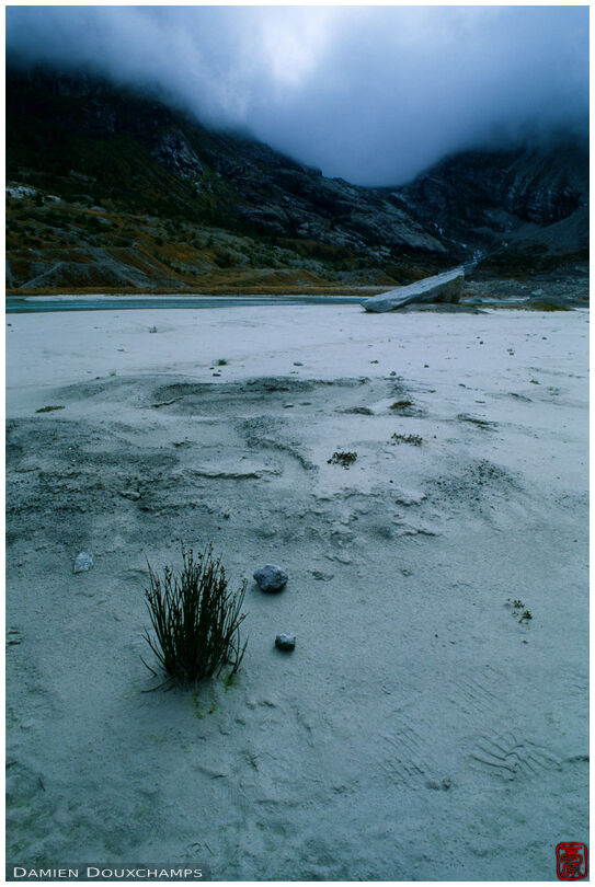 The desolated zone in front of the Glacier du Mont Mine