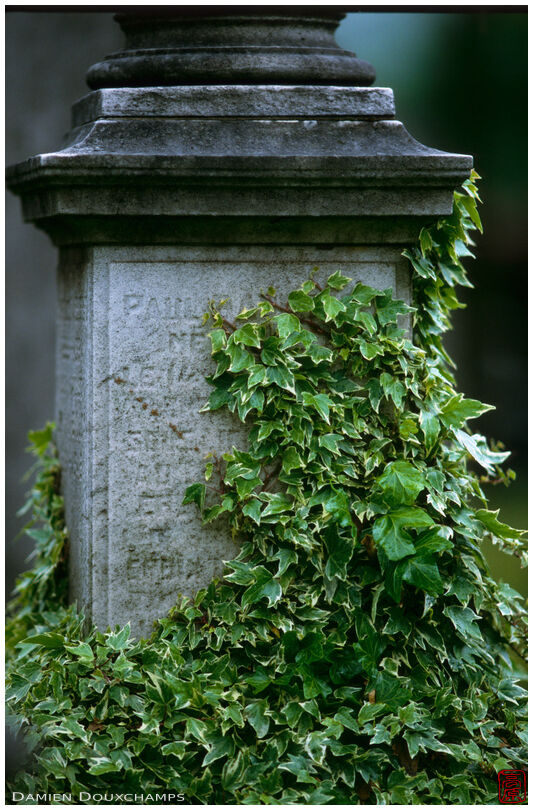 Tomb in the Laeken Cemetery