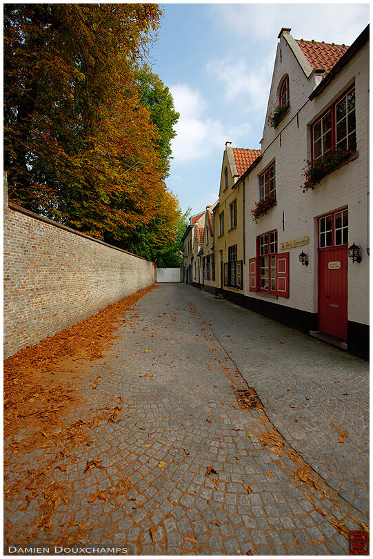 Old alley with autumn leaves