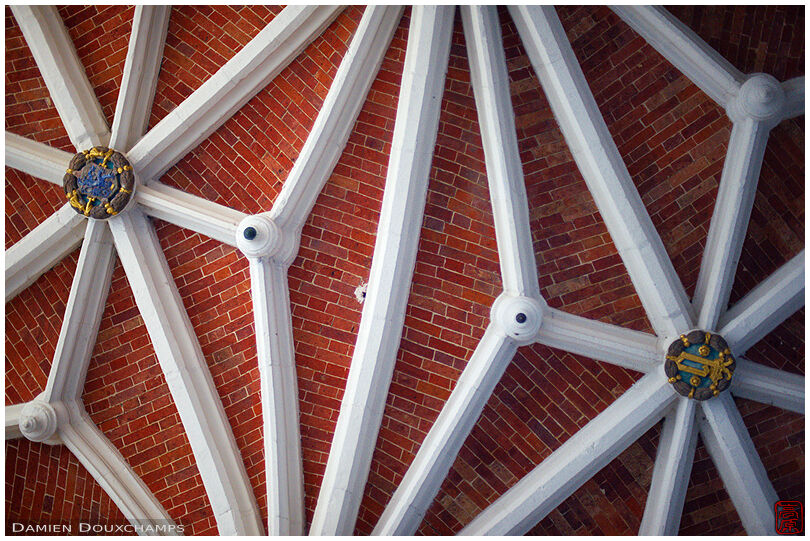Complex network of voussoirs supporting an arched ceiling