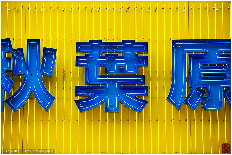 Blue on yellow Akihabara neon sign