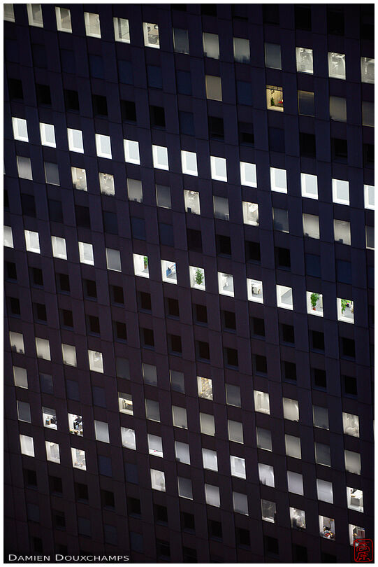 Office windows