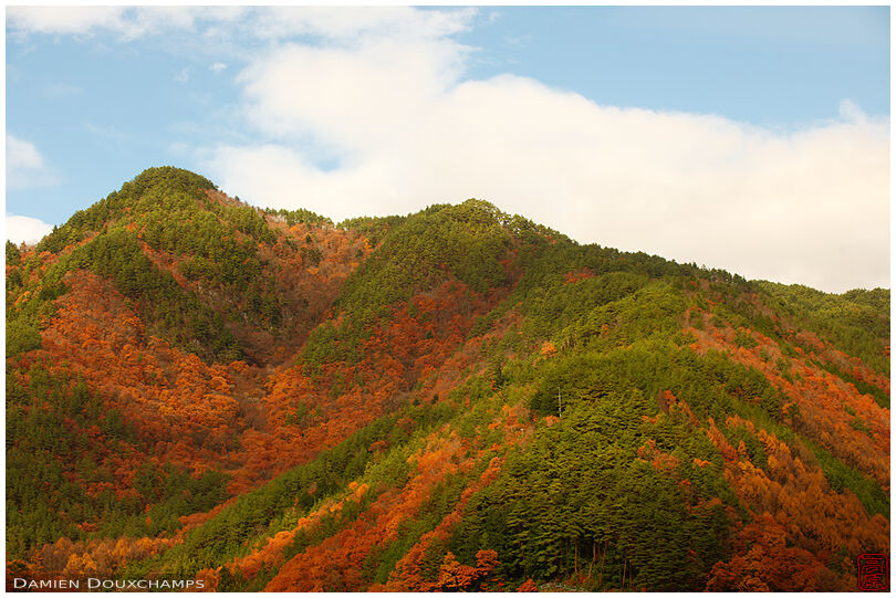 Autumn hills in Nagiso valley