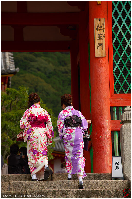Two young ladies in kimono crossing the main gate
