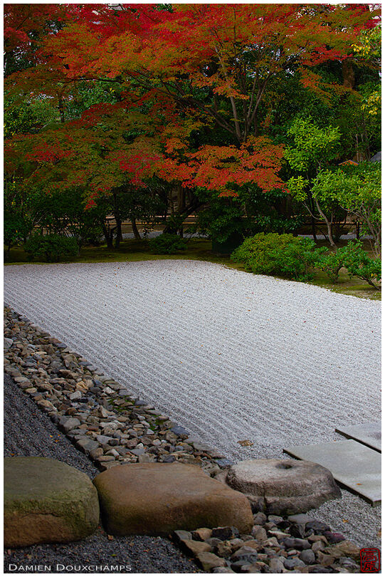 Stone path and autumn colors