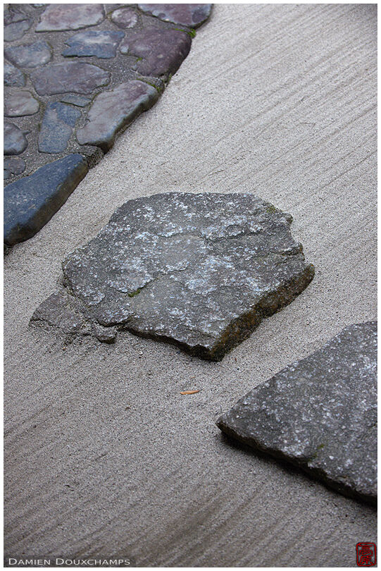 Step stones in a zen garden